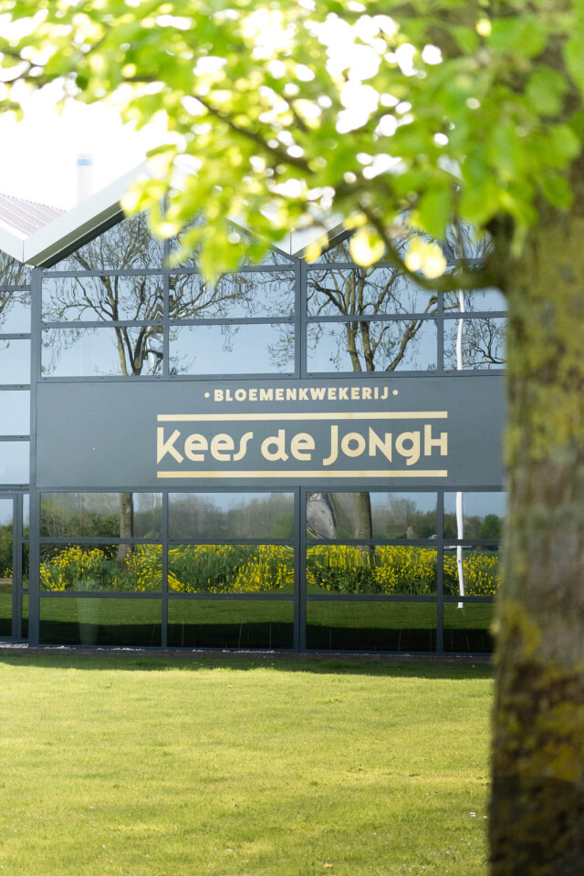 20260417 KeesdeJongh gevelreclame 24