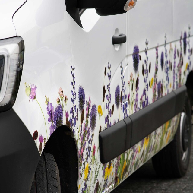 Busbelettering carwrap zaltbommel pimpernel